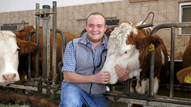 Landwirtschaft: Der Bio-Bauer Simon Hofner aus Münsing kümmert sich um das Wohlergehen seiner Tiere. Etwas außerhalb des Ortes hat er einen Laufstall für etwa 70 Milchkühe. Dort ist nun eine Erweiterung geplant.