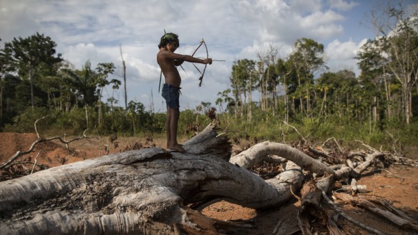 Alltagsleben der Tembé-Indianer im Amazonasgebiet