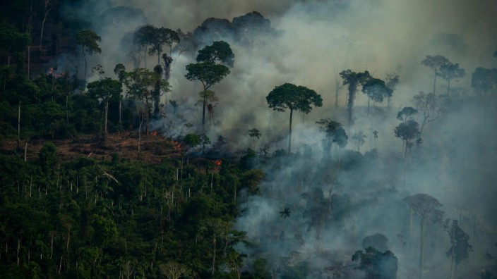 Klimawandel: Illegale Brandrodung im Amazonas-Gebiet: Die grüne Lunge der Erde wird immer kleiner.