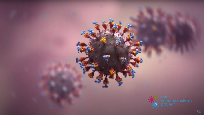 Screenshot How COVID-19 mRNA Vaccines Work
