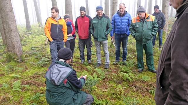 Schäftlarn: Florian Loher und Gerrith Hinner erklären Waldbesitzern, worauf es bei einer modernen Waldbewirtschaftung ankommt.