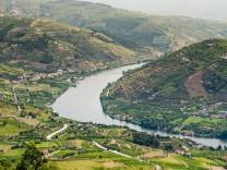 Terraced vineyards in Douro Valley, Alto Douro Wine Region in northern Portugal, officially designated by UNESCO as Worl