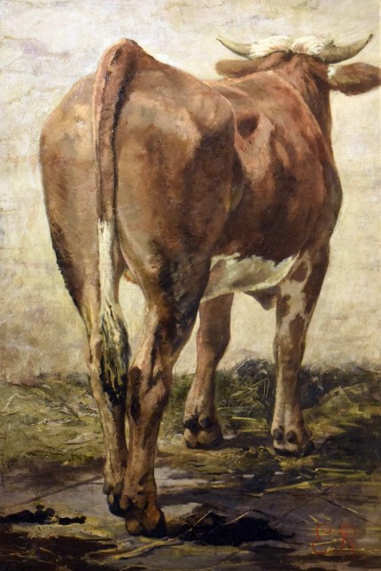 Ausstellung: Eine undatierte Tierstudie von Emil Rumpf (1860-1948) einer Kuh in Rückenansicht. Repros: Gemäldegalerie Dachau / Toni Heigl