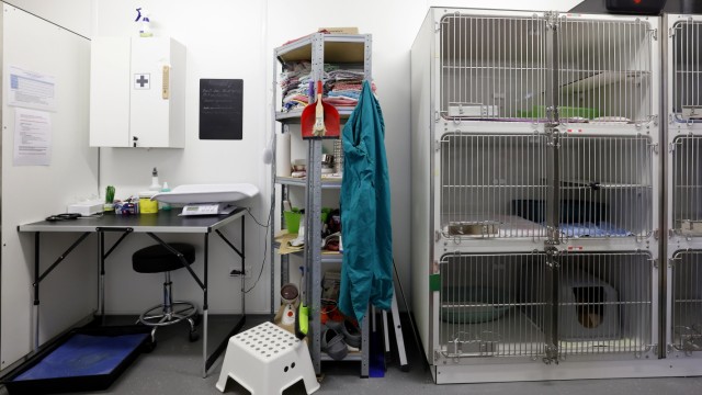 Tierschutz: Die Quarantänestation für Katzen ist in einem Container untergebracht.