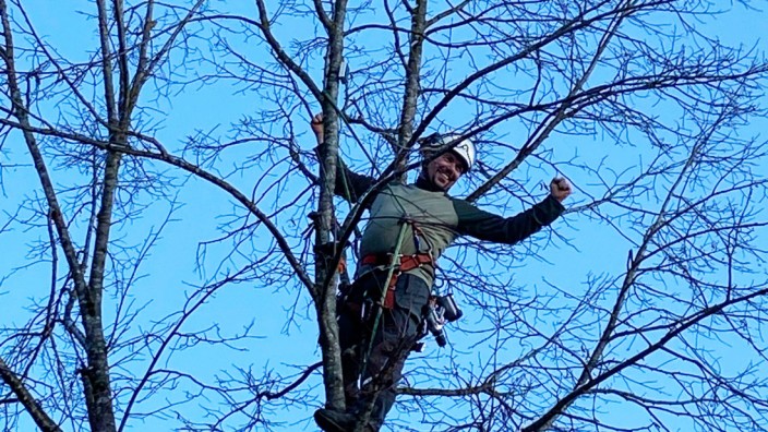 Projekt zur Landesgartenschau: Auch an einer von zwei Linden, die vor einem Jahr auf das Landesgartenschau-Gelände verpflanzt worden sind, hat Treesense-Mitbegründer Giancarlo Foderà einen Sensor angebracht.