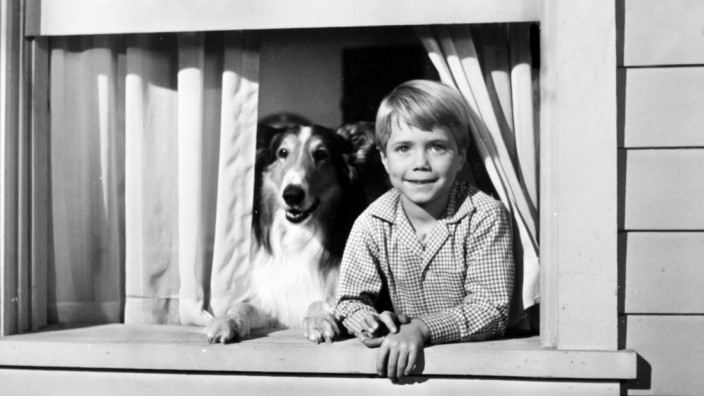 LASSIE, Jon Provost, with Lassie, 1954-1974. / TV Guide /Courtesy Everett Collection