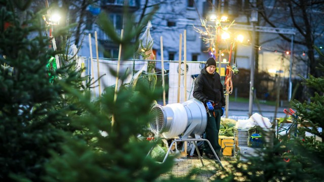 Weihnachten: In jedem Stadtviertel stehen sie, die Christbaumverlkäufer, die auf abgegrenzten Freiflächen ihre Ware feilbieten - wie hier am Thalkirchener Platz.