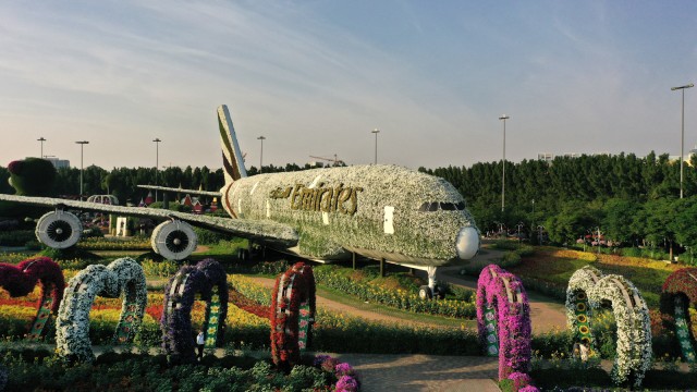 Luftverkehr: Eine mit Blumen bedeckte "A380" im Miracle Garden in Dubai: Emirates setzt weiter auf den großen Langstreckenflieger.