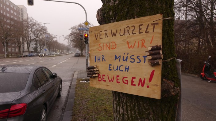 Nahverkehr: Protest der Naturschützer: In der Gotthardstraße in Laim sollen wegen der Bauarbeiten Bäume gefällt werden.