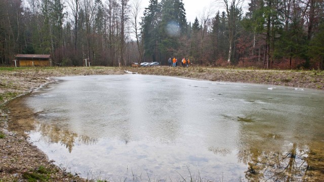 Energie: Das kürzlich angelegte Biotop bei Anzing im Ebersberger Forst.