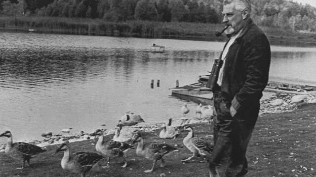 Adventszeit: Konrad Lorenz hat am Eßsee einst mit seiner Verhaltensforschung begonnen.