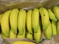 Kalabrien: Drei Tonnen reines Kokain zwischen Bananen entdeckt