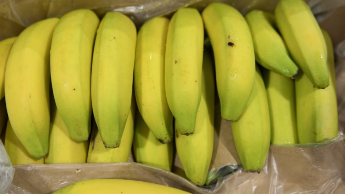Kalabrien: Immer wieder finden Zollbeamte zwischen Bananen verstecktes Kokain.