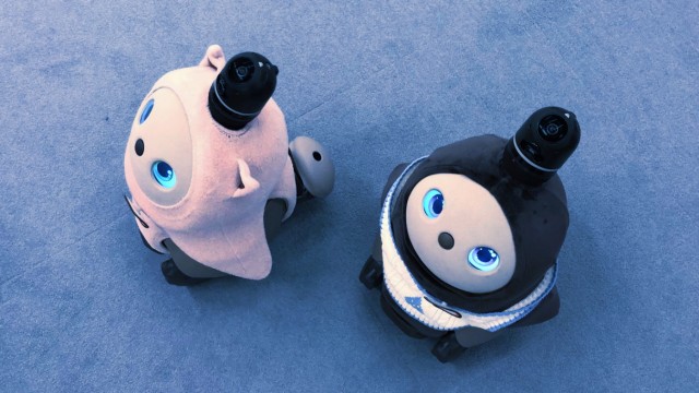 Roboter: Optisch eine Mischung aus Mainzelmännchen und Pinguin, akustisch eher mit dem Hund verwandt: Lovots können herzerweichend winseln.