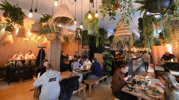 Café Zeitgeist: Urbaner Dschungel: Im Café Zeitgeist hängen Pflanzen von der Decke.