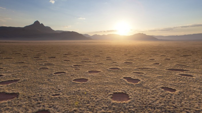 Dem Geheimnis auf der Spur: Wissenschaftler sind sich uneins über die Entstehung dieses Phänomens: rätselhafte Kreise in der Namib-Wüste.