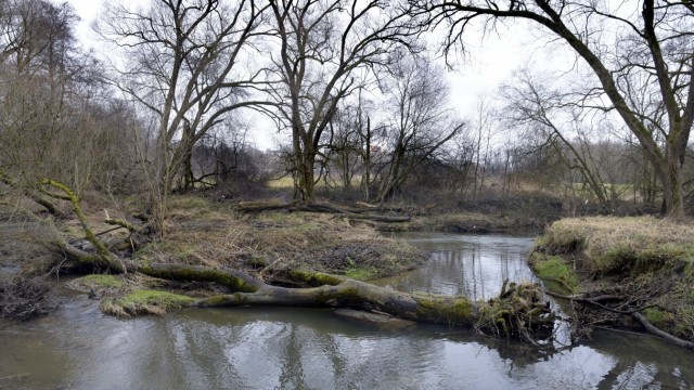 Umweltschutz: Die wildromantische Isen, Richtung Dorfen gesehen, am "Silbersee", wie diese Stelle von den Dorfenern genannt wird.