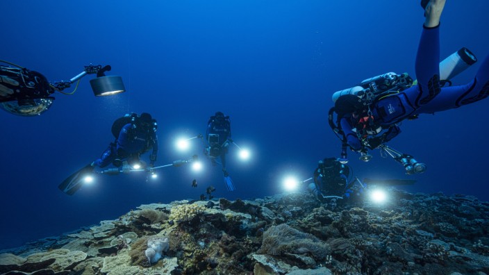 Natur: Forscher des französischen Nationalen Zentrums für wissenschaftliche Forschung in den Gewässern vor der Küste von Tahiti in Französisch-Polynesien.