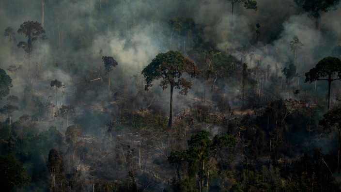 Greenpeace-Studie: Die Zerstörung des Regenwalds lag zwischen Juli 2020 und August 2021 um drei Viertel höher als drei Jahre zuvor - so stellt es ein Greenpeace-Bericht zu Brasilien fest: illegale Brandrodung im Amazonas-Staat im vergangenen Herbst.