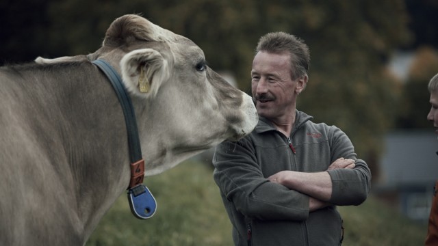 Preisgekrönter Käser: Mit jeder Kuh auf du und du: Käse-Künstler Willi Schmid.