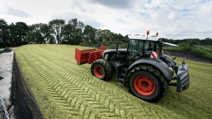 Landwirtschaft: München will seine zehn eigenen Güter künftig nur noch ökologisch bewirtschaften.