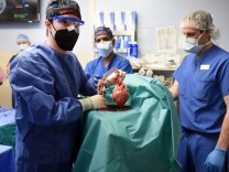Medizin: Transplantationspatient mit Schweineherz gestorben