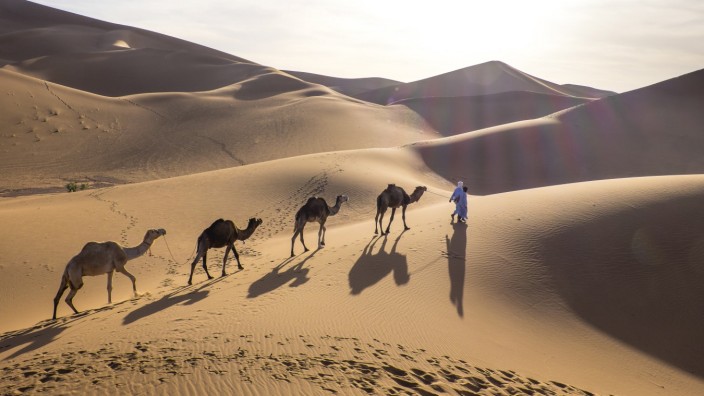 Reise: Ob in die Dünen der Sahara oder nach Marrakesch: Marokko hat viel Sehenswertes zu bieten. Und seit dem 7. Februar ist es auch für Urlauber wieder zugänglich.