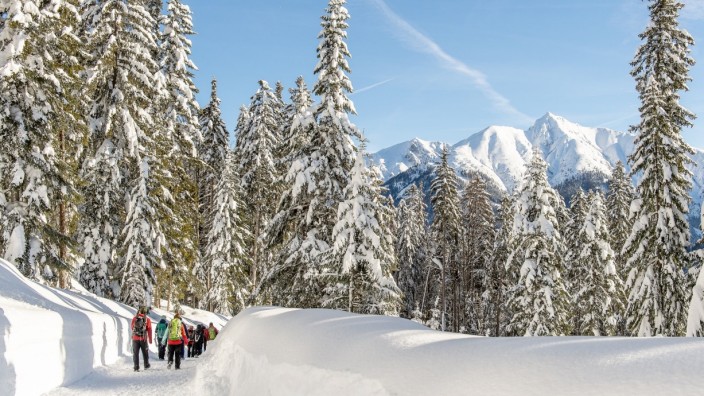 Winterwandern: Auf freigeräumten Wegen durch die verschneite Landschaft: Auch in der Region Seefeld in Tirol stellt man sich, wie in vielen anderen Urlaubsorten, auf Winterwanderer ein.