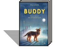 Tiergeschichten: Buddy lauf, Mistkäfer flieg, Möhrchen und der Buchhändler