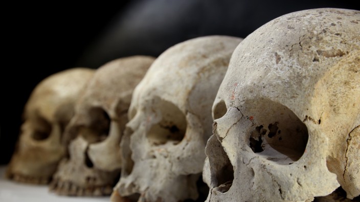 Archäologie: Schädel einer etruskischen Familie, die das Forscherteam für die Genstudie analysiert hat.