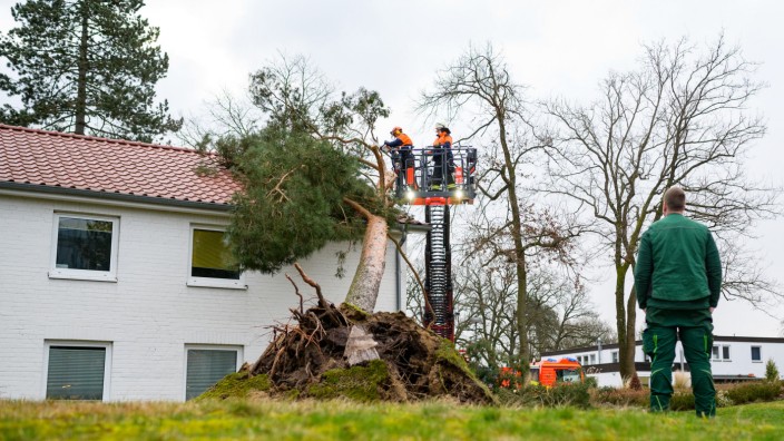 Sturmschäden: Umgestürzte Bäume, lose Dachziegel, durch die Luft segelnde Bretter: Das Sturmtief "Ylenia" hinterlässt enorme Schäden, hier bei Bad Bevensen.