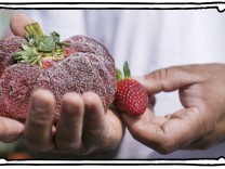 SZ-Kolumne „Bester Dinge“: So wild nach einem Erdbeerfund