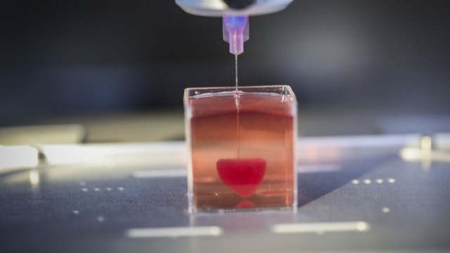 3-D-Druck: Israelische Forscher haben 2019 mit einem 3-D-Drucker ein Mini-Herz aus menschlichem Gewebe erzeugt.