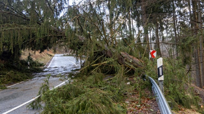 Nach dem Sturm: Umgestürzte Bäume, wie hier unterhalb des Großen Feldbergs im Taunus, behindern die Wege durch die Wälder.