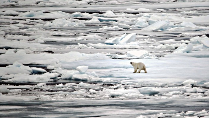 IPCC-Bericht: Überall auf der Erde beeinflusst der Klimawandel inzwischen die Artenwelt.