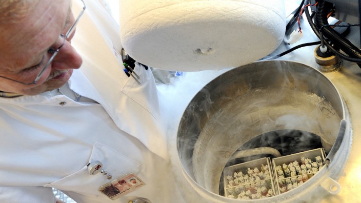 Vereinbarkeit: Ein Arzt zeigt gefrorene Eizellen in einem Labor in den Niederlanden.