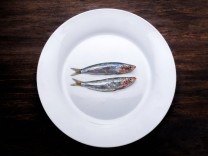Pescetarische Ernährung: Das Leid der Fische