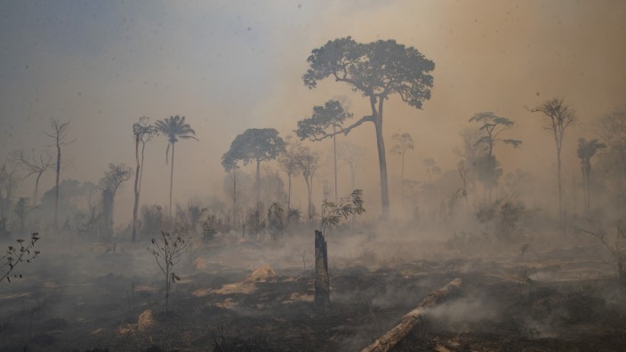 Umwelt: Brasilien, Novo Progresso: Rauch steigt während eines Brandes im Amazonasgebiet auf.