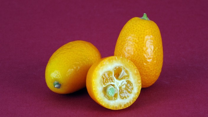 Kolumne Eigener Herd: Kumquats kann man mit Schale essen, sie schmecken frisch, süßsauer und haben zarte Bitternoten.