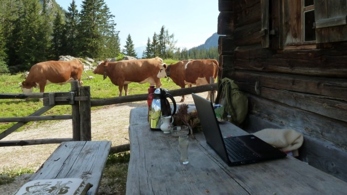 Arbeiten im Urlaub: Mit dem Laptop vor der Almhütte sitzen und beim Arbeiten den Kühen zuschauen - will man das? Offenbar gibt es eine gewisse Nachfrage, nun wird das Phänomen Coworkation genauer untersucht.