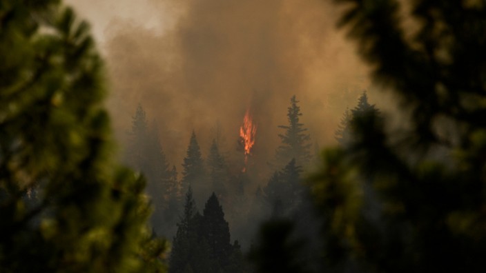 Klimawandel: Waldbrände könnten der Ozonschicht schaden und die Erderwärmung beschleunigen.