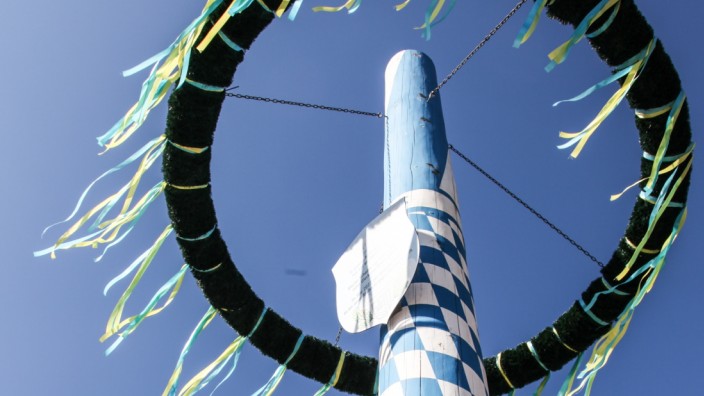 Eichenau: Mit blauen und gelben Bändern ist der Stumpf des Eichenauer Maibaums geschmückt.