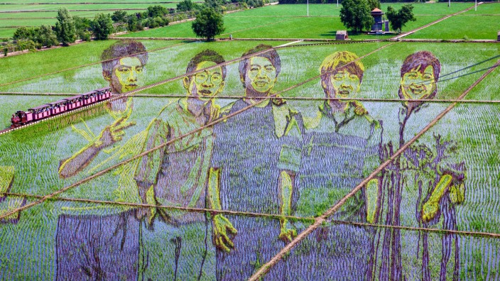 China: Luftaufnahme eines Reisfeldes in der Provinz Liaoning