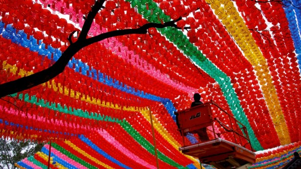 Man wearing a face mask to prevent contracting the coronavirus disease works under colourful lanterns in preparation of the upcoming birthday of Buddha at a temple in Seoul