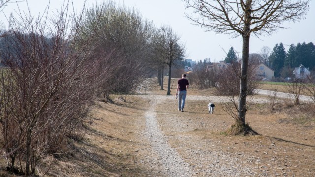 Brütende Vögel: Freilaufende Hunde, aber auch Querfeldein-Jogger und picknickende Familien stellen aus Sicht von Vogelschützern eine Gefahr für Bodenbrüter dar.
