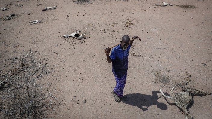 Wetterextreme: Die vierzig Ziegen dieses Bauern in Kenia sind durch die Dürre verhungert.