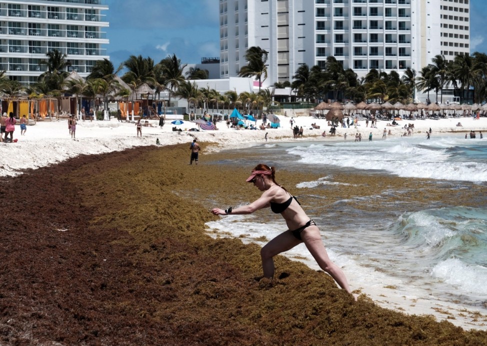 Accumulation of Sargassum algae at Gaviota Azul Beach, in Cancun