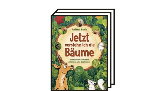 Bücher über den Wald: Roland Bock: Jetzt verstehe ich die Bäume. Mit Illustrationen von Johannes Reiner und Fotos von Fred Britzger. ArsEdition, 2022. 48 Seiten, 19,99 Euro.