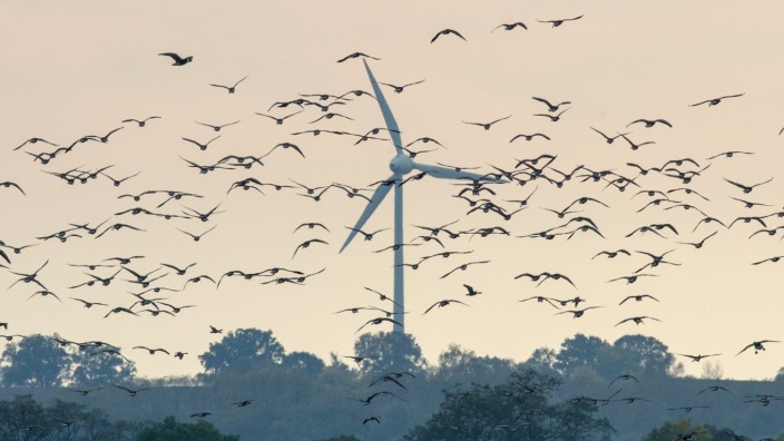 Energiepolitik: Um die Genehmigung neuer Windräder zu vereinfachen, sollen erneuerbare Energien künftig im "überragenden öffentlichen Interesse" liegen.