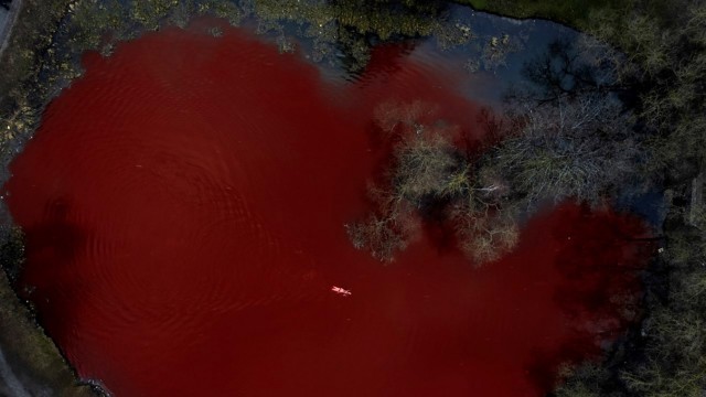 Aktion gegen Russland: Ruta Meilutyte im blutrot eingefärbten Teich.